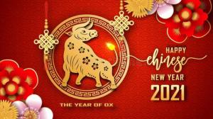 春节将至，BYC博盈轴承携全体员工在此向大家拜个早年